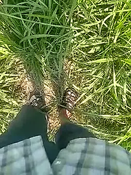 Snapshot of Cute_Boy_4 chatting on February 22, 5:30 am Cute Boy 4 online show from February 22, 5:30 am