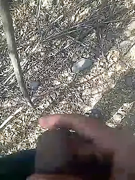 Snapshot of Cute_Boy_4 chatting on February 23, 8:01 am Cute Boy 4 online show from February 23, 8:01 am