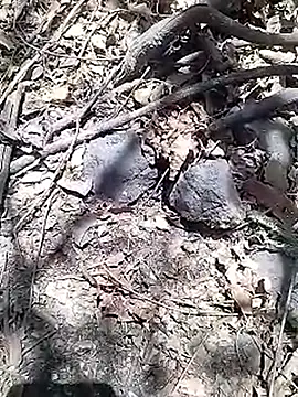 Cute Boy 4 online show from April 15, 8:10 am