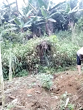 Snapshot of Tina-beo chatting on April 18, 8:18 am Tina-beo online show from April 18, 8:18 am