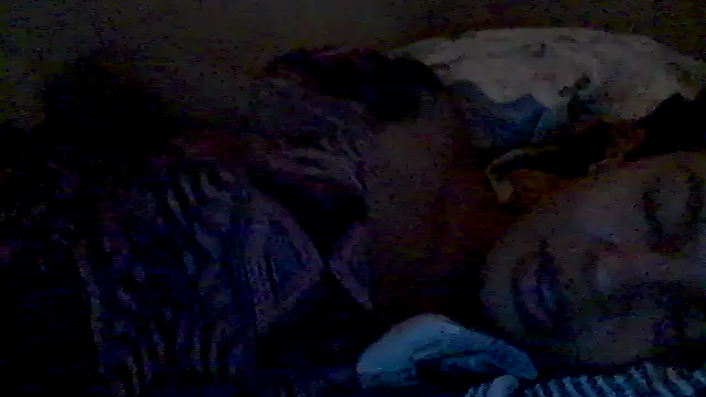 Snapshot of lorraine2036 chatting on February 17, 2:57 pm lorraine2036 online show from February 17, 2:57 pm