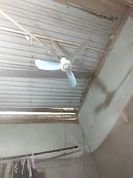 JordanX 01 online show from April 3, 5:38 am