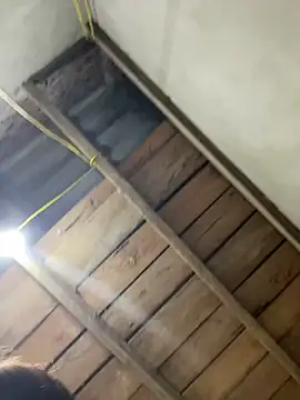 2b-xx online show from March 4, 4:07 am