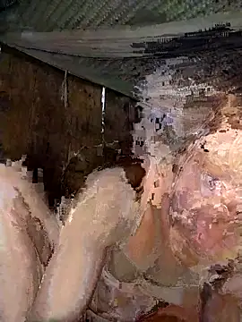 Bella-222 online show from March 2, 7:15 am