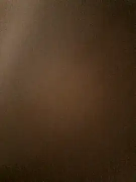 Snapshot of TropBig chatting on February 4, 9:59 am TropBig online show from February 4, 9:59 am