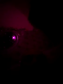 Raj teluguboy online show from March 6, 7:43 pm