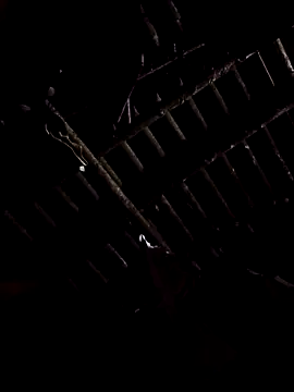 Snapshot of alex_callmemaybe69 chatting on February 9, 9:30 pm alex callmemaybe69 online show from February 9, 9:30 pm