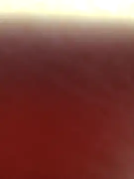 Snapshot of alex_callmemaybe69 chatting on February 16, 10:39 pm alex callmemaybe69 online show from February 16, 10:39 pm