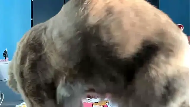 Snapshot of AndreeMerryman chatting on February 5, 8:08 am AndreeMerryman online show from February 5, 8:08 am