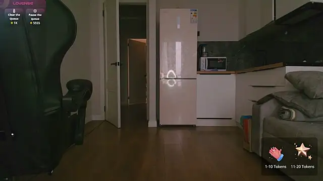 Snapshot of jjasleen0 chatting on February 5, 3:33 am jjasleen0 online show from February 5, 3:33 am