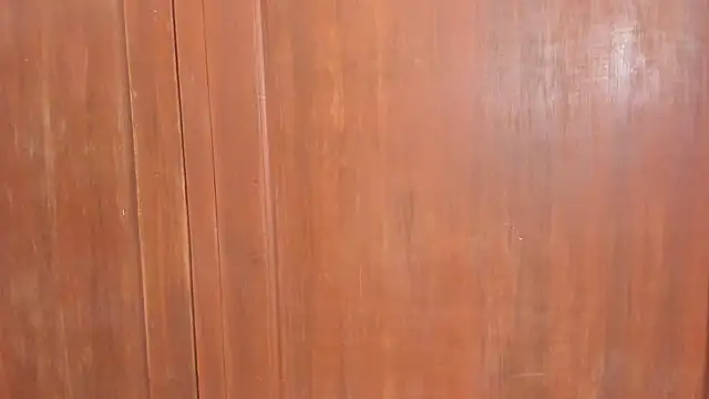 Sophiia88 online show from February 18, 12:01 pm