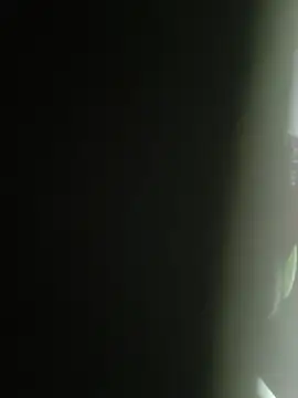 Snapshot of Gordinho_dos_pes chatting on February 25, 2:10 am Gordinho dos pes online show from February 25, 2:10 am