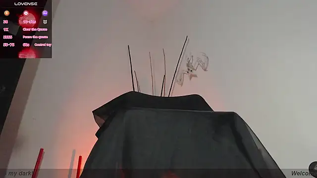 Darkyll33 online show from February 4, 4:57 pm