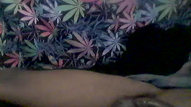 libraxxxstudios online show from June 9, 4:57 am
