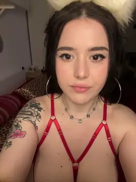 Snapshot of Venustrapp chatting on February 14, 2:47 pm Venustrapp online show from February 14, 2:47 pm