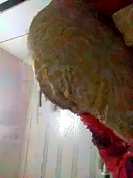 loveofpetitegirls34 online show from March 24, 7:52 pm