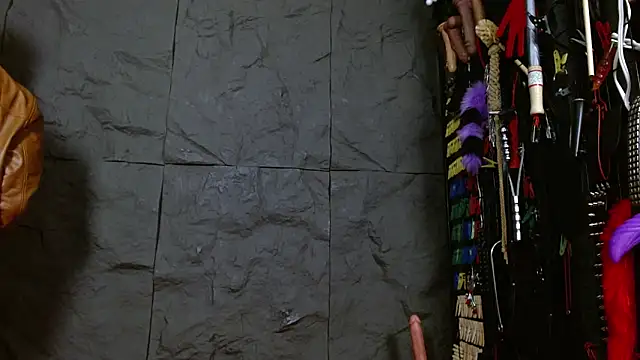 Snapshot of Ariaoficial chatting on February 21, 7:53 am Ariaoficial online show from February 21, 7:53 am