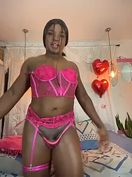 Snapshot of FerSecret_ chatting on February 21, 9:16 pm FerSecret online show from February 21, 9:16 pm