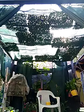 Snapshot of gordorichard chatting on February 21, 12:39 pm gordorichard online show from February 21, 12:39 pm