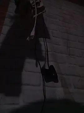 ravimandal online show from April 14, 4:13 pm