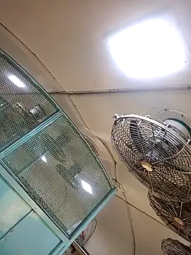 Talkwithsex online show from February 4, 2:39 am