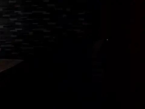 Snapshot of PennyUni chatting on February 13, 1:23 am PennyUni online show from February 13, 1:23 am