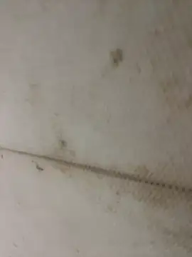 Miu Xinh online show from April 11, 5:06 pm