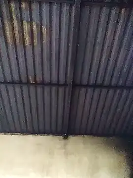 Linka998 online show from March 13, 3:13 am