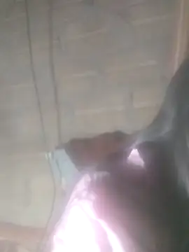 Snapshot of Yang-my- chatting on February 13, 3:08 pm Yang-my- online show from February 13, 3:08 pm