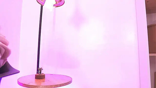 Shopie Colucci online show from April 13, 4:01 pm