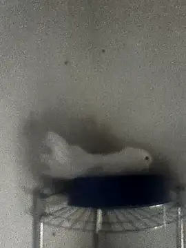 Snapshot of hydra0613 chatting on February 22, 10:41 pm hydra0613 online show from February 22, 10:41 pm