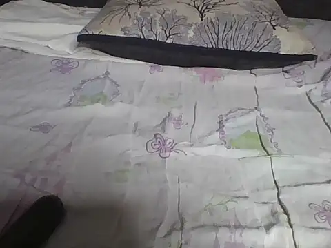 Snapshot of Hot-litchie chatting on February 19, 11:06 am Hot-litchie online show from February 19, 11:06 am