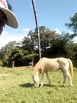 nego5628 online show from March 8, 6:12 pm