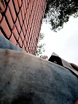 nego5628 online show from April 1, 12:06 pm