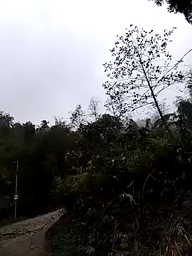 lovely-742 online show from March 24, 1:54 am