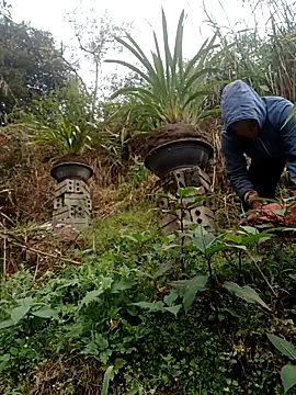 Snapshot of nelina_12345 chatting on February 15, 9:08 am nelina 12345 online show from February 15, 9:08 am