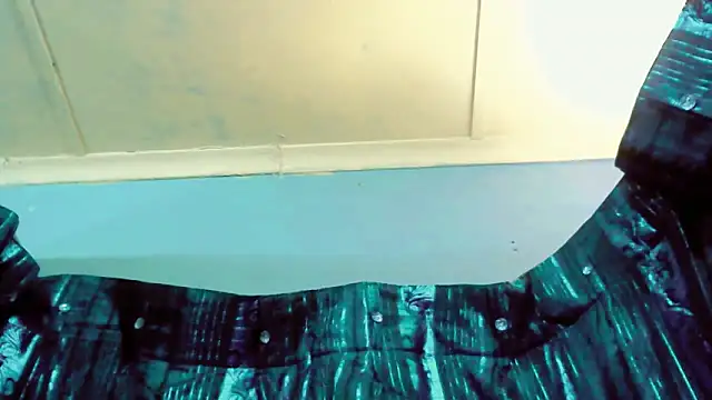 Snapshot of SassyXindian chatting on March 20, 9:14 am SassyXindian online show from March 20, 9:14 am