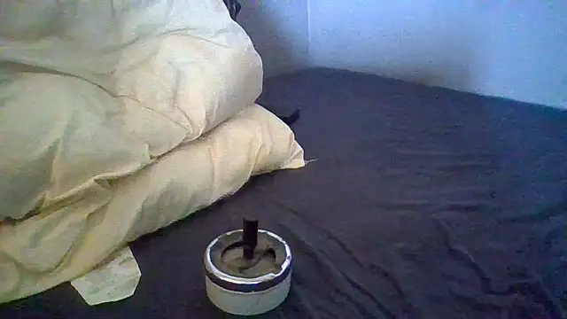 BonneQueueBonjour online show from June 6, 6:40 am