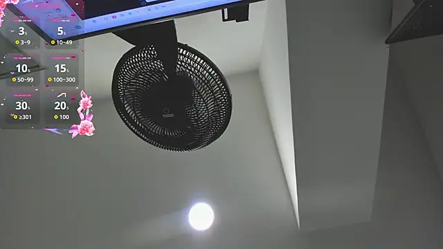 agartha velvet online show from March 30, 3:40 am