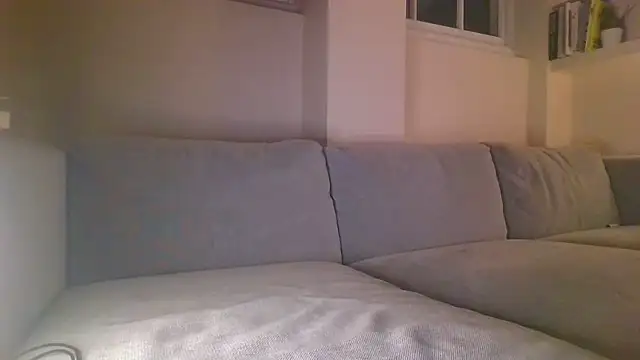 Snapshot of rhizomata chatting on June 11, 11:36 pm rhizomata online show from June 11, 11:36 pm