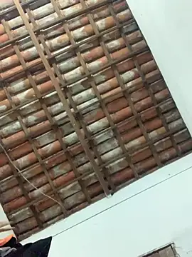 Navresseed online show from April 18, 2:59 am