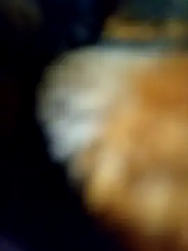 Snapshot of Avinh_09 chatting on February 15, 5:20 pm Avinh 09 online show from February 15, 5:20 pm