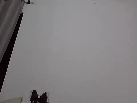 Snapshot of machodotado97 chatting on March 2, 5:41 am machodotado97 online show from March 2, 5:41 am