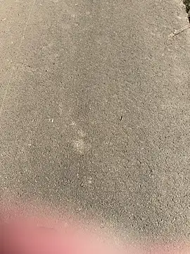 Marlon06  online show from April 8, 2:50 pm