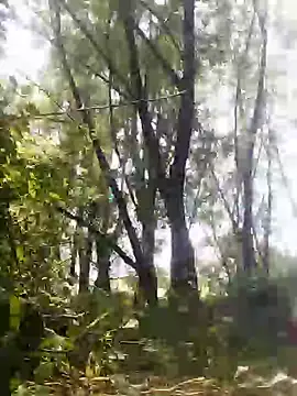 Snapshot of marti_8 chatting on May 23, 12:31 pm marti 8 online show from May 23, 12:31 pm