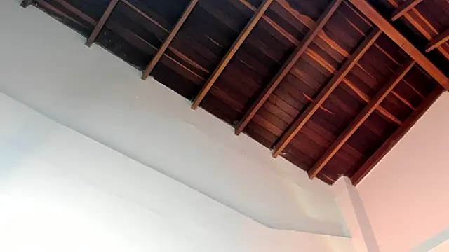 TonyPetrovjs online show from April 1, 4:57 am