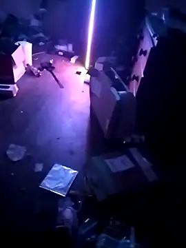 cexcitef online show from March 3, 12:28 am