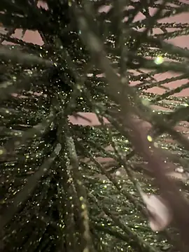 sexysou online show from April 15, 11:50 am