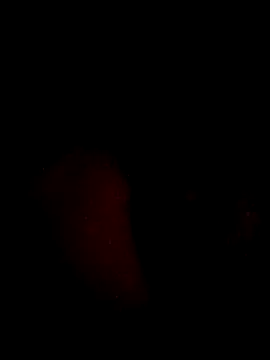 juanjonac online show from May 18, 2:29 am
