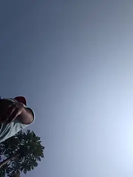 Fantasy King 3939 online show from February 27, 5:51 am